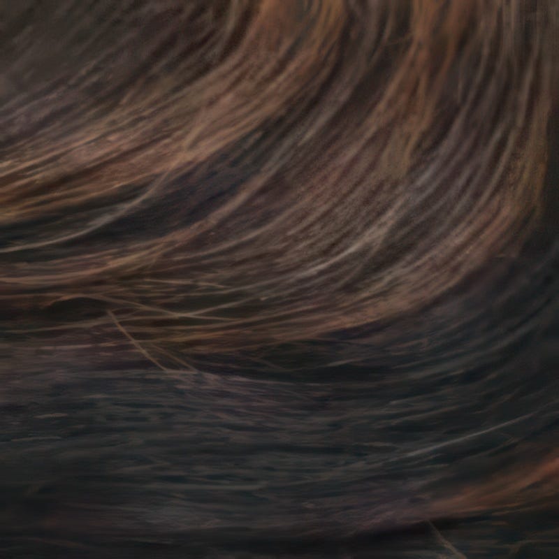 Eva Gabor Wig Color Dark Chocolate Mist