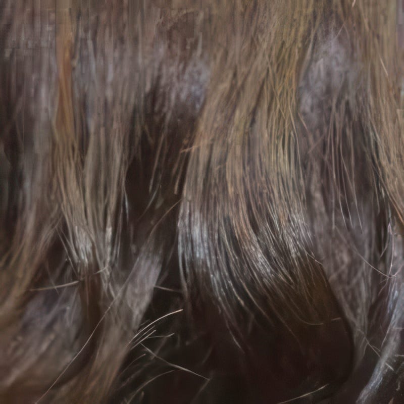 Eva Gabor Wig Color Dark Chocolate Mist
