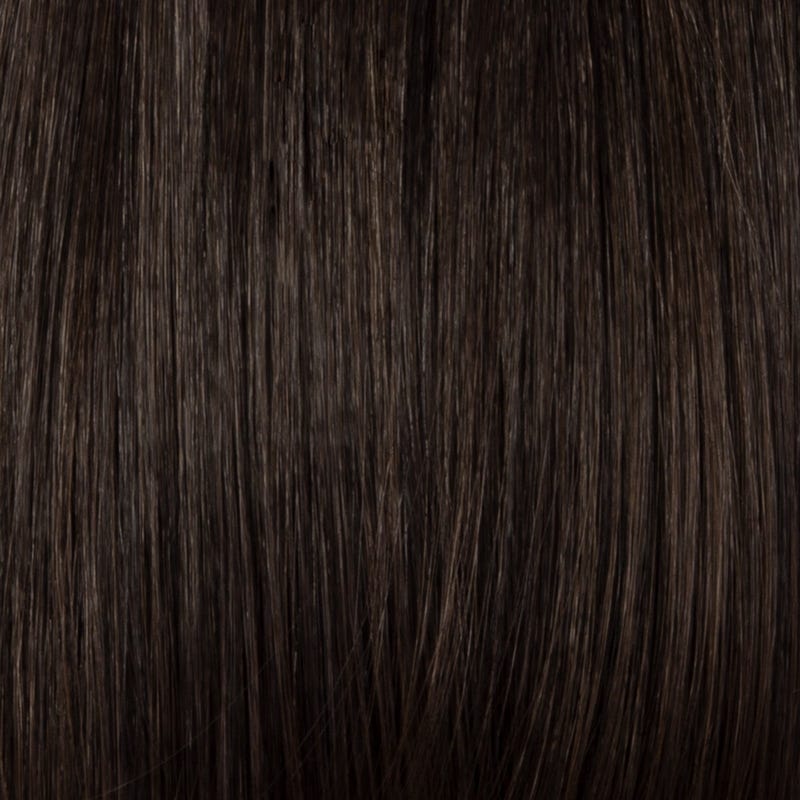 Eva Gabor Wig Color Dark Chocolate Mist