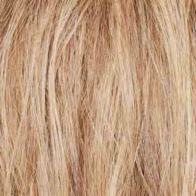 Eva Gabor Wig Color Dark Chocolate Mist