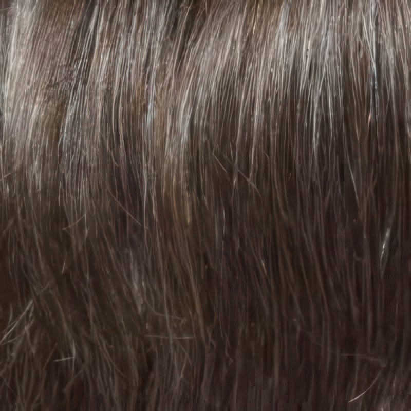 Eva Gabor Wig Color Dark Chocolate Mist