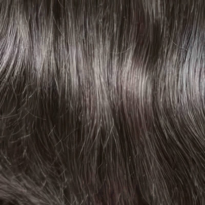 Eva Gabor Wig Color Dark Chocolate Mist