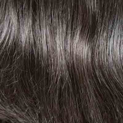 Eva Gabor Wig Color Dark Chocolate Mist