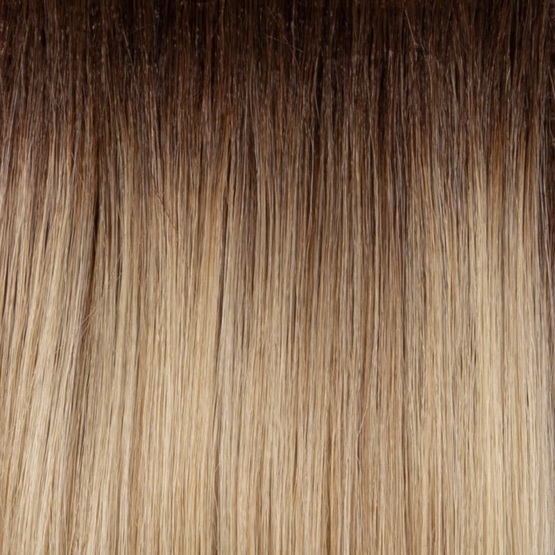 Eva Gabor Wig Color Dark Chocolate Mist