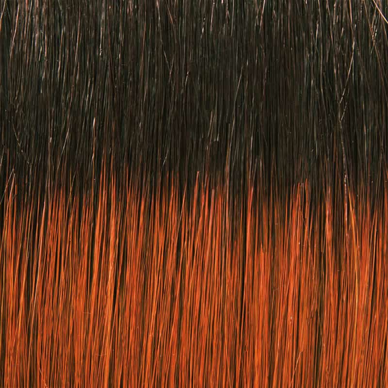 Eva Gabor Wig Color Dark Chocolate Mist