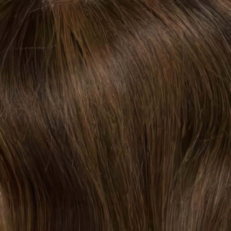 Eva Gabor Wig Color Dark Chocolate Mist