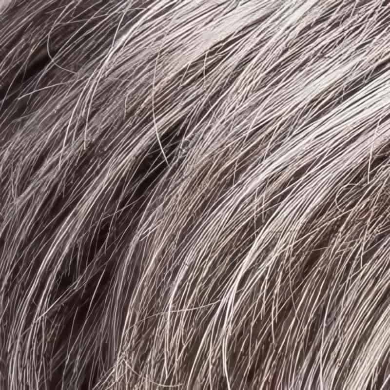 Eva Gabor Wig Color Dark Chocolate Mist