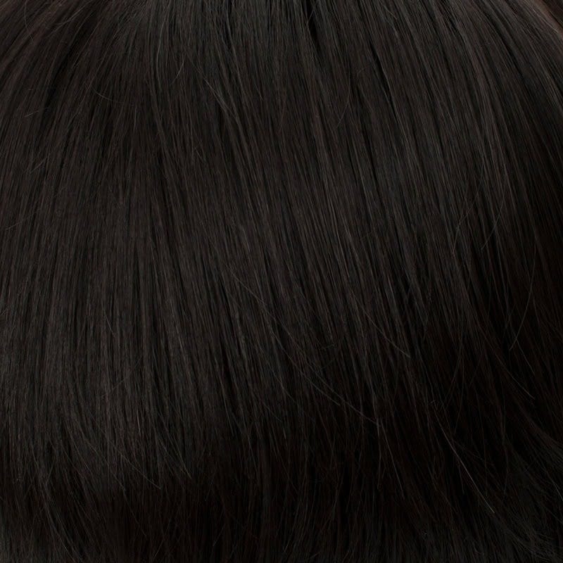 Eva Gabor Wig Color Dark Chocolate Mist