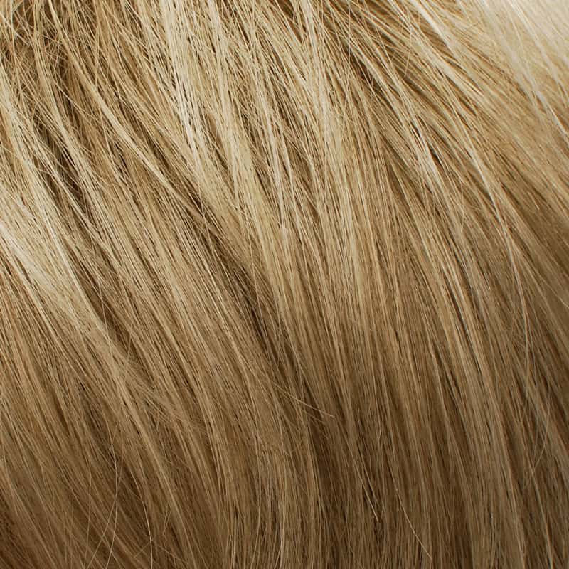 Eva Gabor Wig Color Dark Chocolate Mist