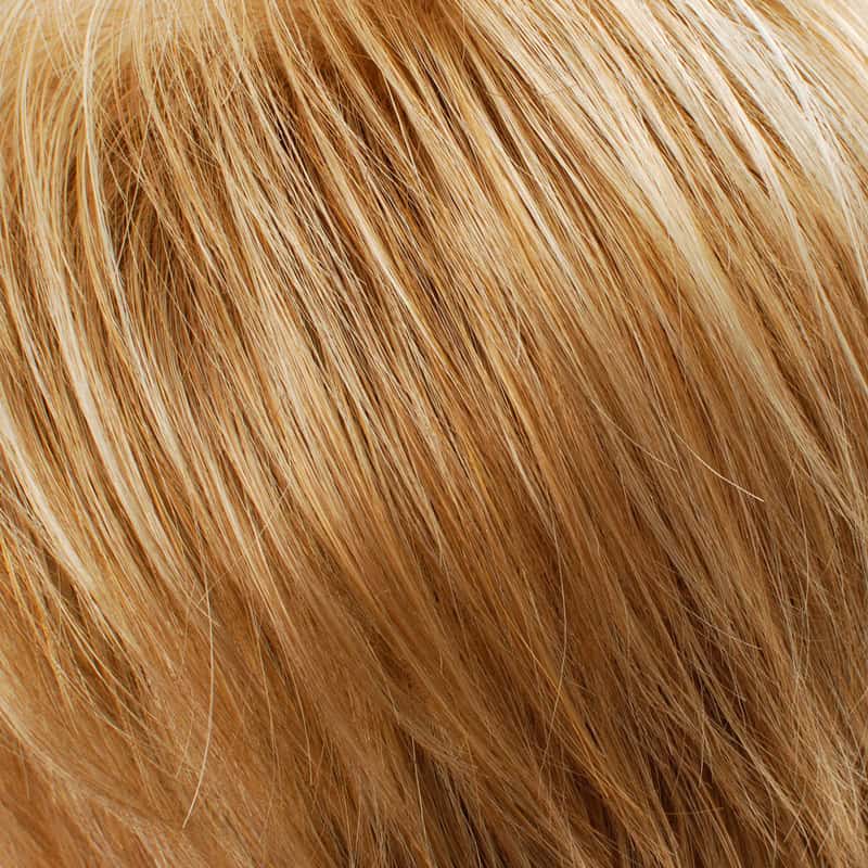 Eva Gabor Wig Color Dark Chocolate Mist