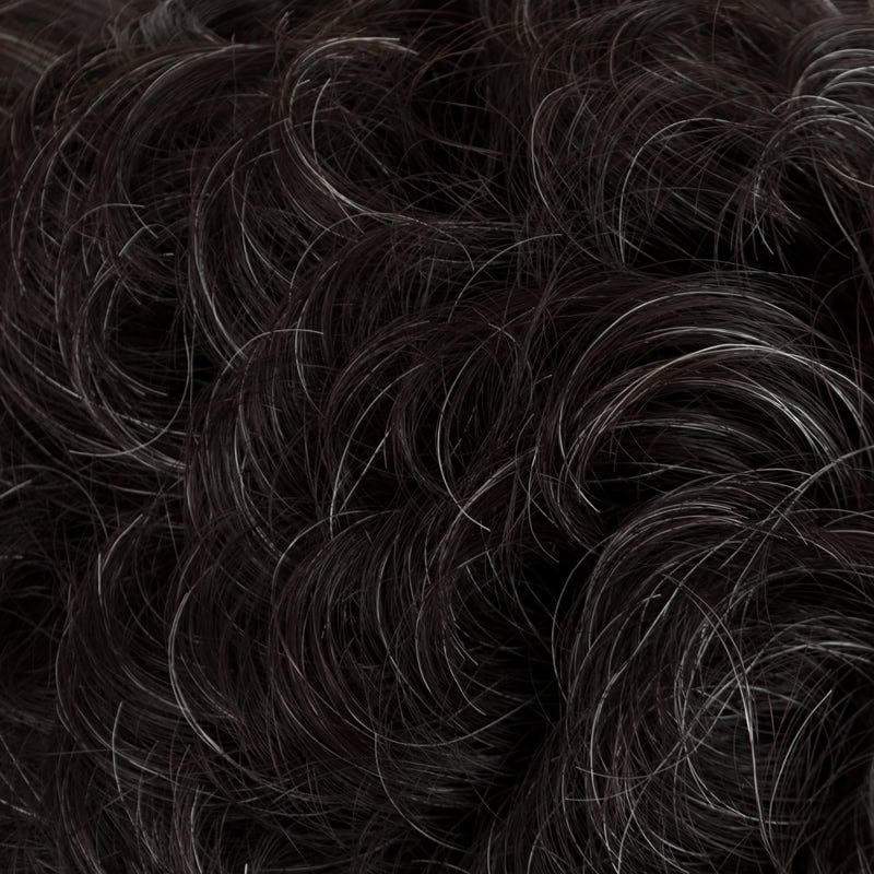 Eva Gabor Wig Color Dark Chocolate Mist