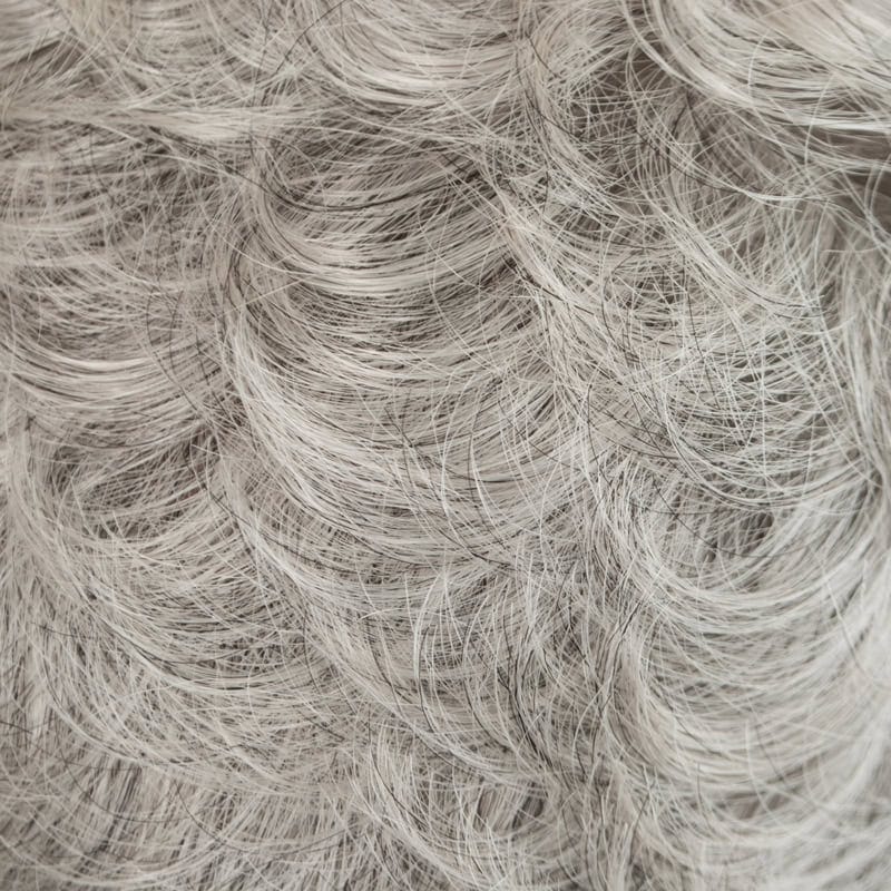 Eva Gabor Wig Color Dark Chocolate Mist