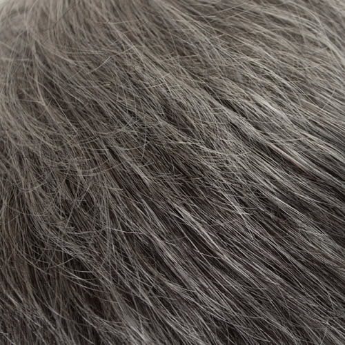 Eva Gabor Wig Color Dark Chocolate Mist