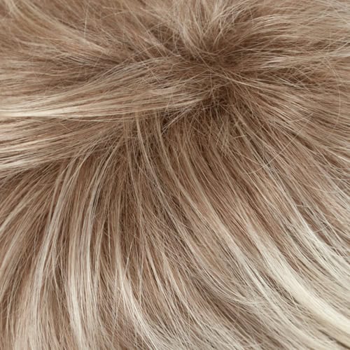 Eva Gabor Wig Color Dark Chocolate Mist