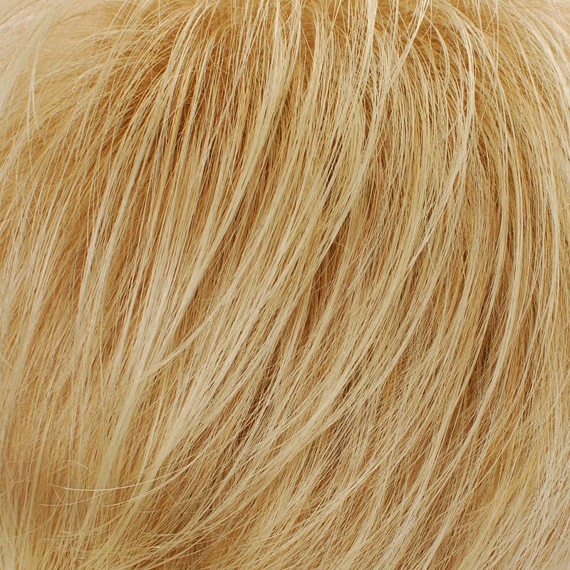 Eva Gabor Wig Color Dark Chocolate Mist