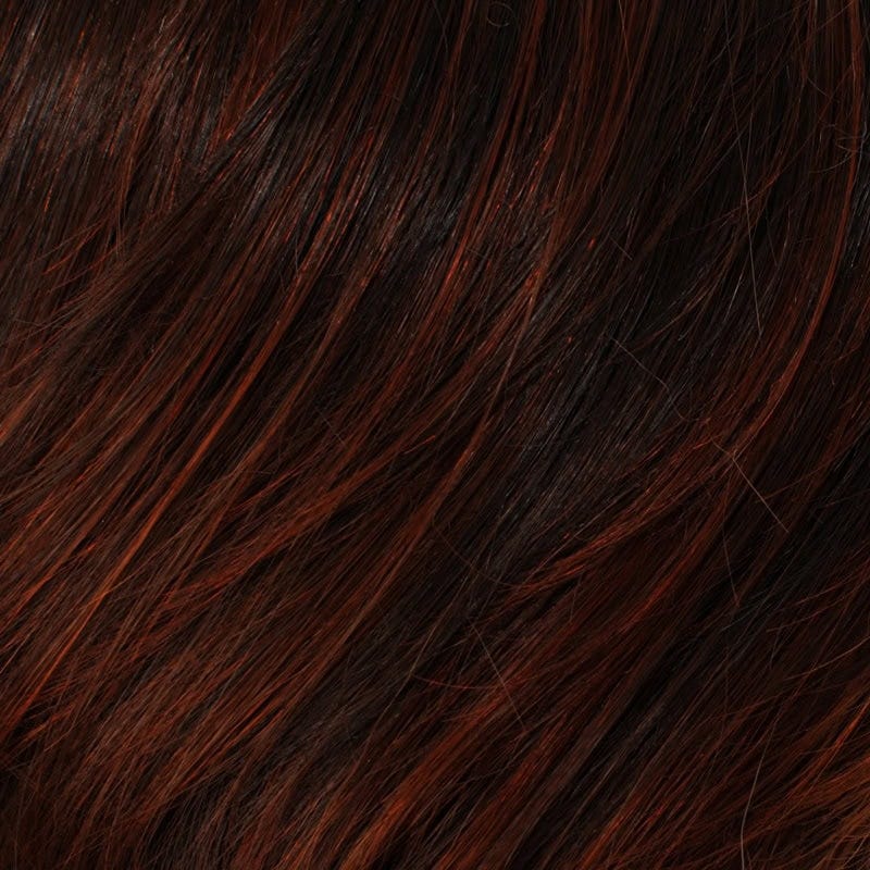 Eva Gabor Wig Color Dark Chocolate Mist