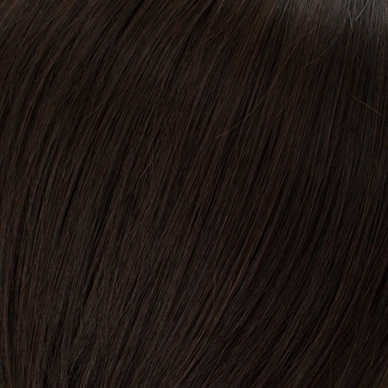 Eva Gabor Wig Color Dark Chocolate Mist
