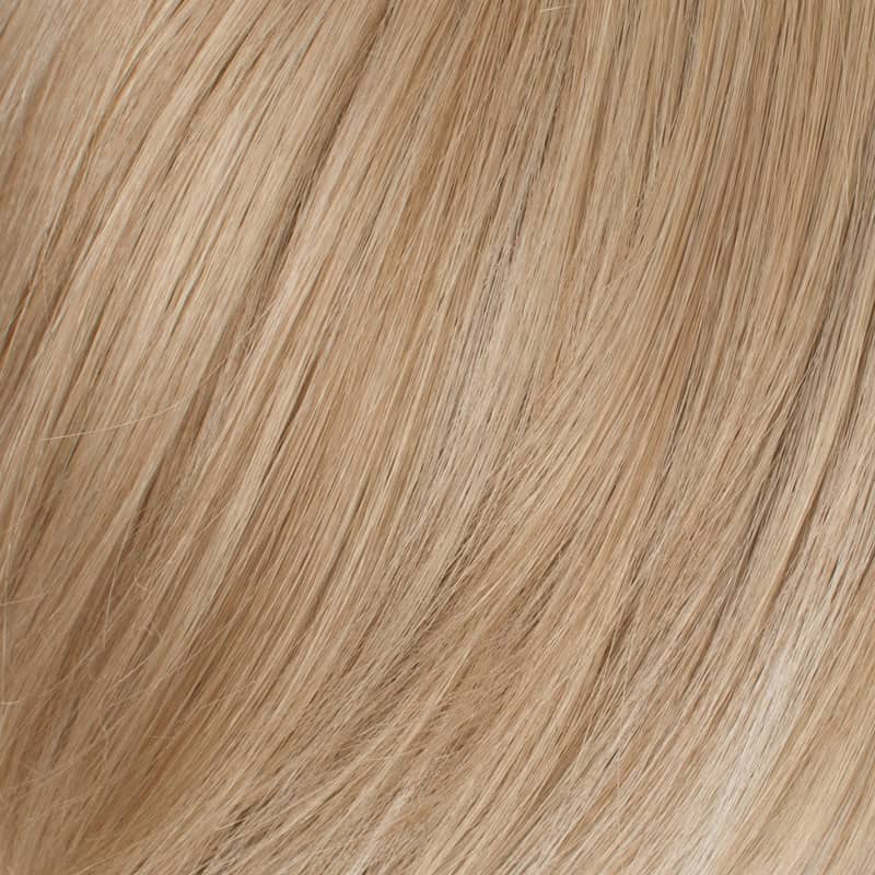 Eva Gabor Wig Color Dark Chocolate Mist