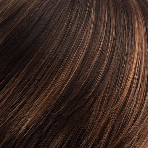 Eva Gabor Wig Color Dark Chocolate Mist