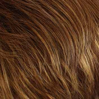 Eva Gabor Wig Color Dark Chocolate Mist
