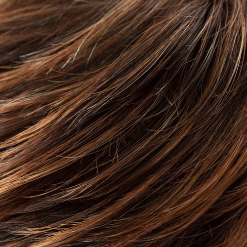 Eva Gabor Wig Color Dark Chocolate Mist