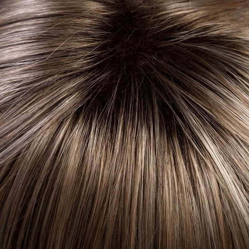 Eva Gabor Wig Color Dark Chocolate Mist