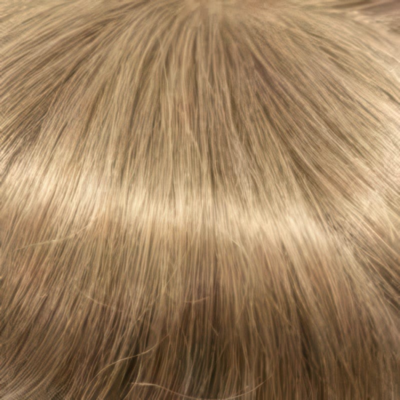 Eva Gabor Wig Color Dark Chocolate Mist