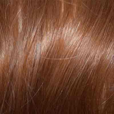 Eva Gabor Wig Color Dark Chocolate Mist