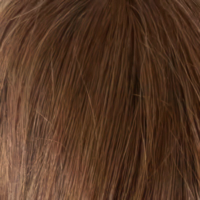 Eva Gabor Wig Color Dark Chocolate Mist