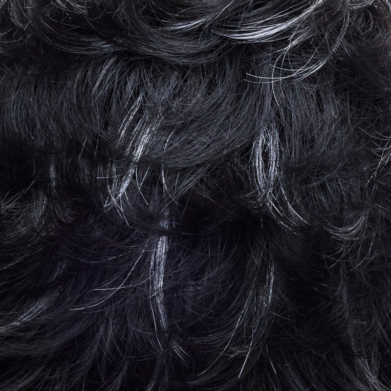 Eva Gabor Wig Color Dark Chocolate Mist