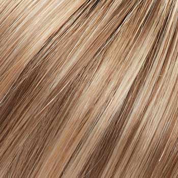 Eva Gabor Wig Color Dark Chocolate Mist