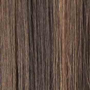 Eva Gabor Wig Color Dark Chocolate Mist