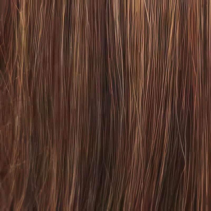 Eva Gabor Wig Color Dark Chocolate Mist