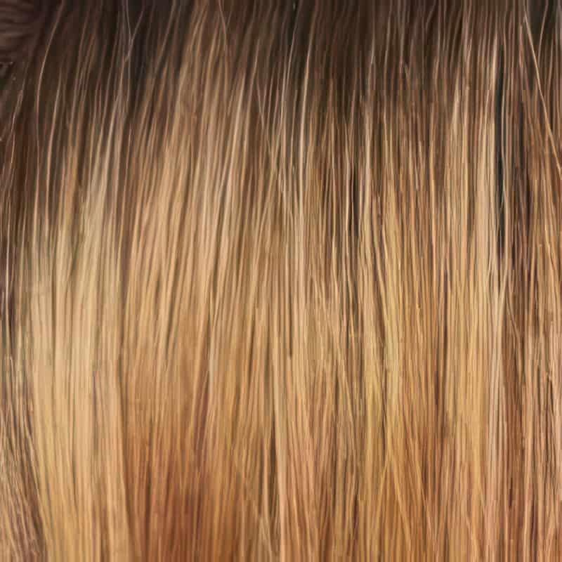 Eva Gabor Wig Color Dark Chocolate Mist