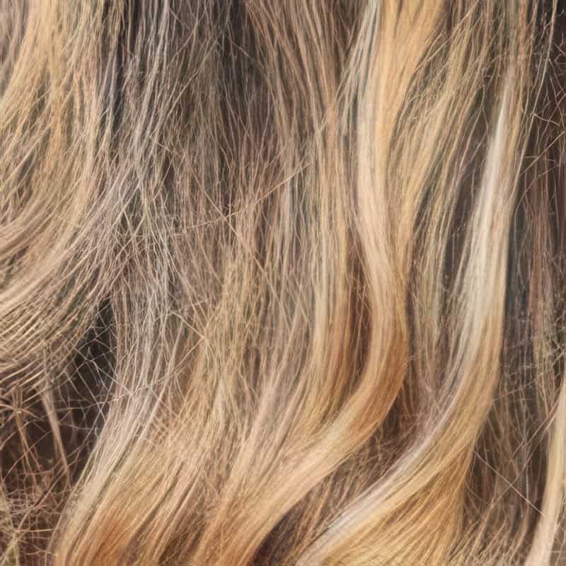 Eva Gabor Wig Color Dark Chocolate Mist