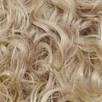 Eva Gabor Wig Color Dark Chocolate Mist