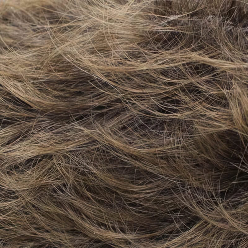 Eva Gabor Wig Color Dark Chocolate Mist