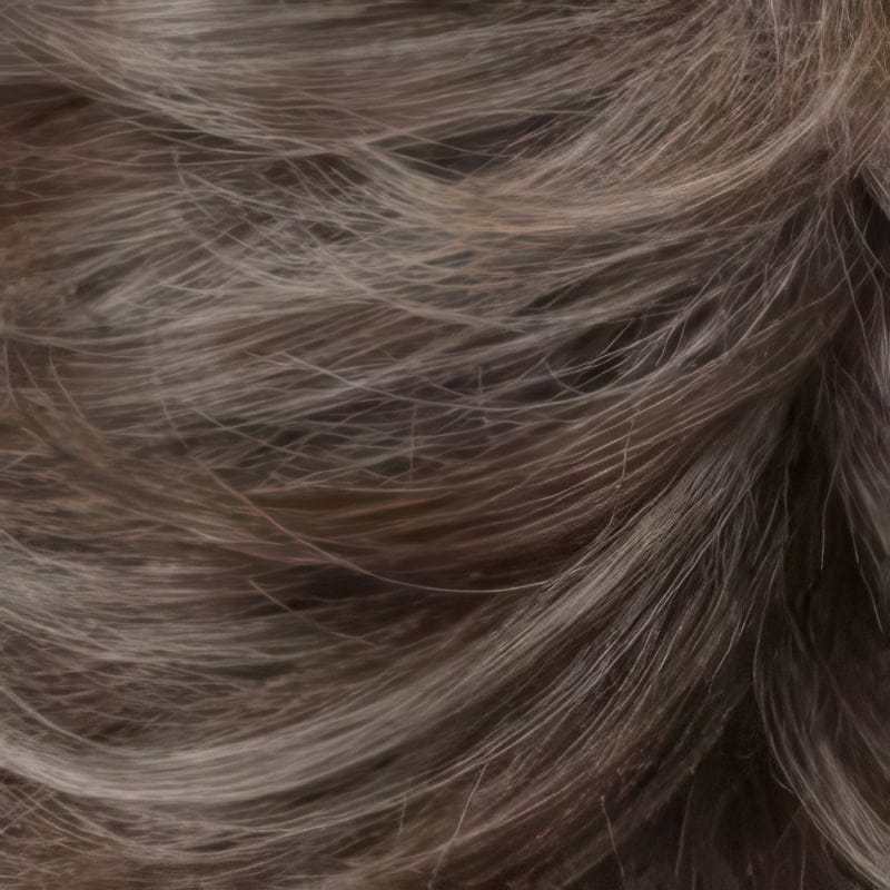 Eva Gabor Wig Color Dark Chocolate Mist
