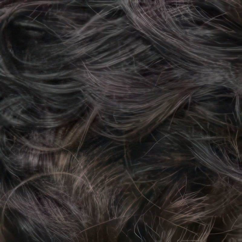Eva Gabor Wig Color Dark Chocolate Mist
