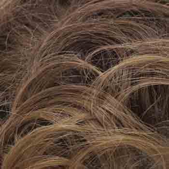 Eva Gabor Wig Color Dark Chocolate Mist