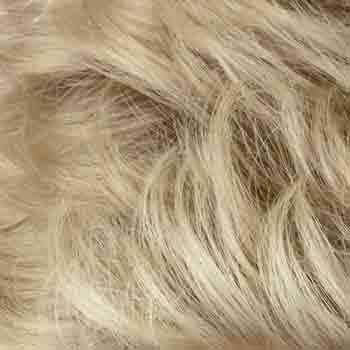 Eva Gabor Wig Color Dark Chocolate Mist