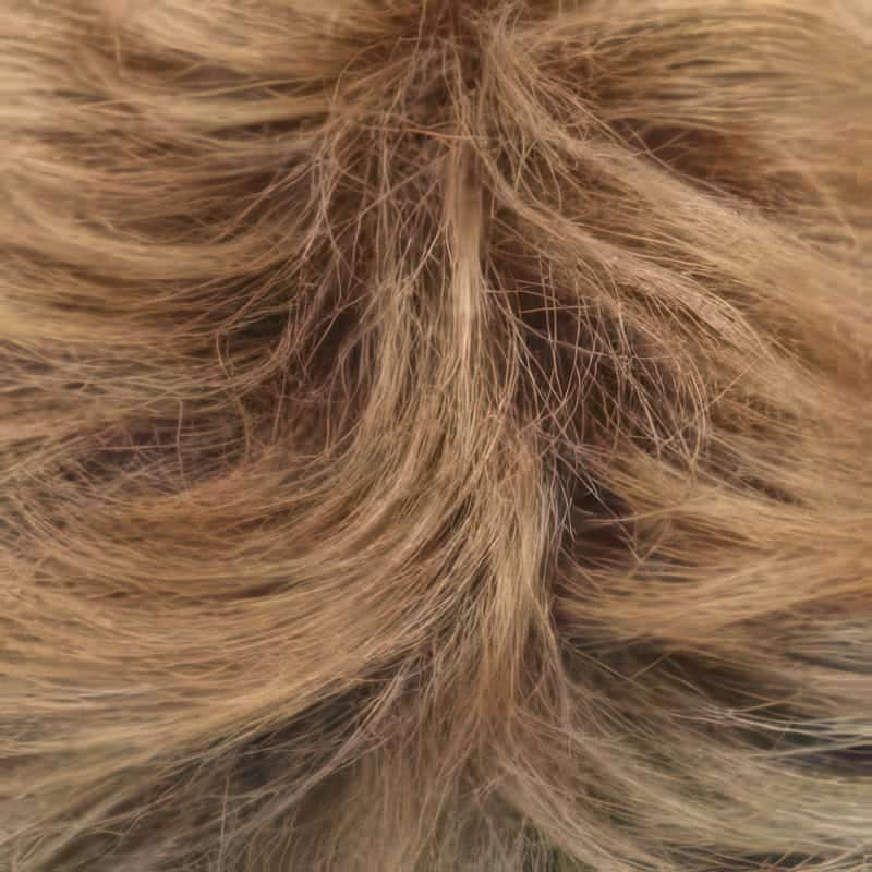 Eva Gabor Wig Color Dark Chocolate Mist