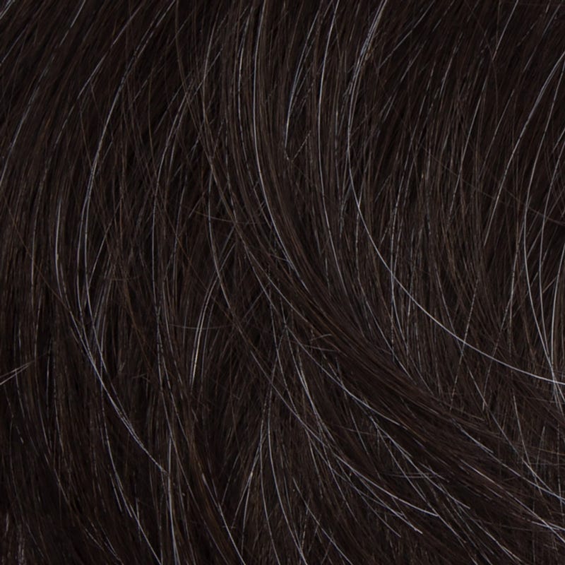 Eva Gabor Wig Color Dark Chocolate Mist