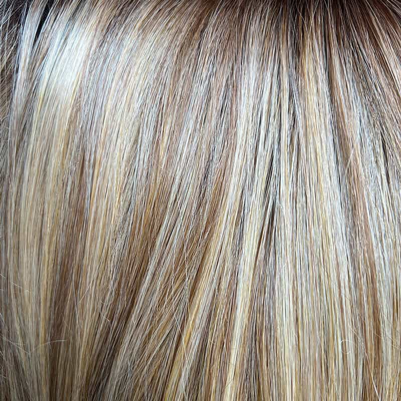 Eva Gabor Wig Color Dark Chocolate Mist