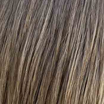 Eva Gabor Wig Color Dark Chocolate Mist