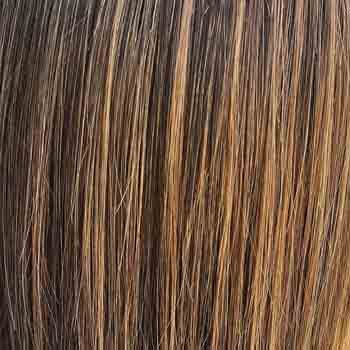 Eva Gabor Wig Color Dark Chocolate Mist