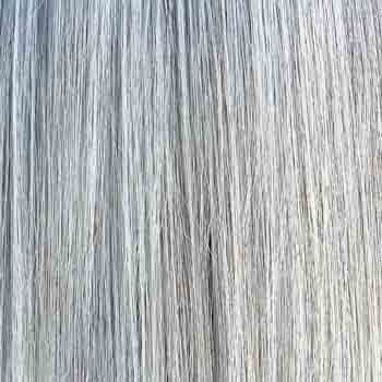 Eva Gabor Wig Color Dark Chocolate Mist