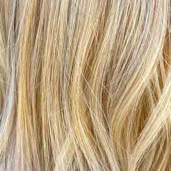 Eva Gabor Wig Color Dark Chocolate Mist