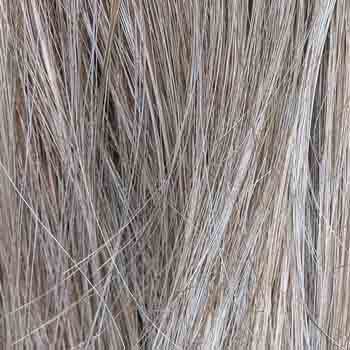 Eva Gabor Wig Color Dark Chocolate Mist