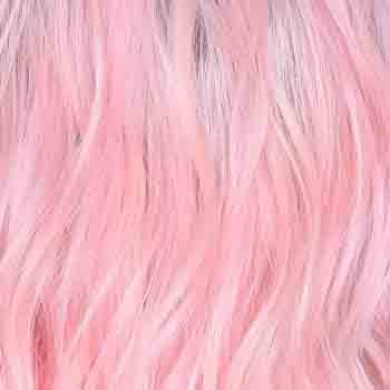 Eva Gabor Wig Color Dark Chocolate Mist